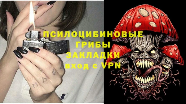 спиды Алексин
